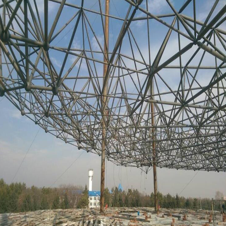 洪湖球形网架钢结构施工方案